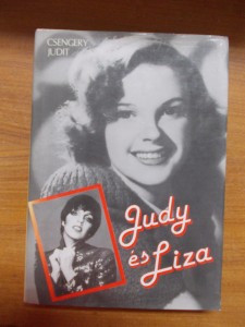 Csengery Judit: Judy és Liza használt könyv kép #01