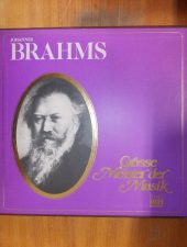 Johannes Brahms -Grosse Meister der Musik