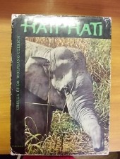 Hati-Hati-Elefántháton India vadonjaiban