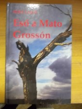 Füry Lajos:Eső a Mato Grossón